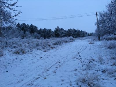 Прикрепленное изображение: 2016-01-22 08.09.32.jpg